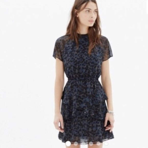 Madewell Dresses & Skirts - Madewell | Animal Print Radiant Dress 4